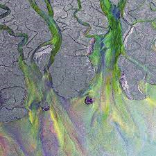 ALT-J - AN AWESOME WAVE (LP - REM22- 2012)
