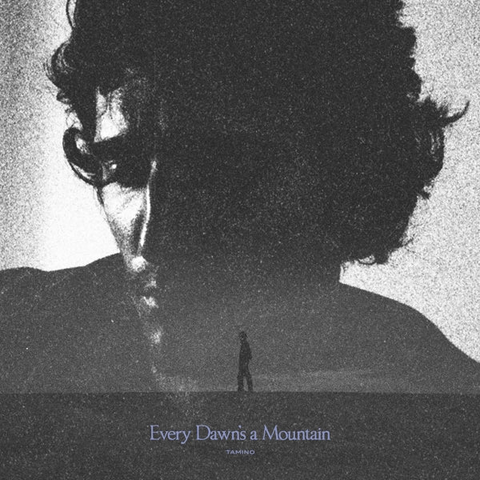 TAMINO - EVERY DAWN'S A MOUNTAIN (LP - 2025)
