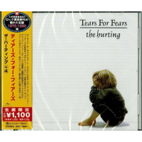 TEARS FOR FEARS - THE HURTING (1983 - JAPAN | REM21)