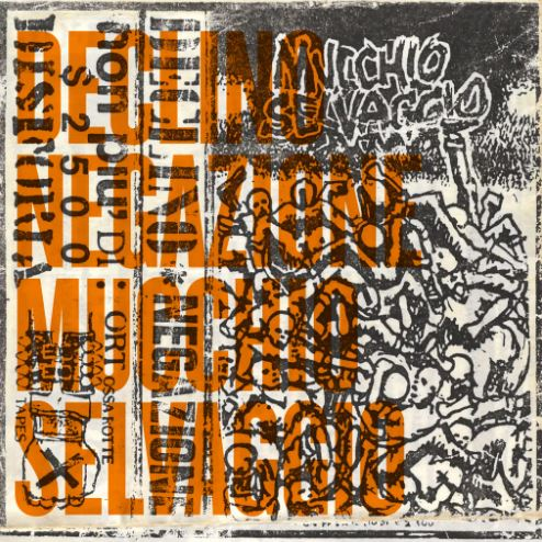 NEGAZIONE & DECLINO - MUCCHIO SELVAGGIO (LP - SPLIT ALBUM | 40TH ANN | REM24 - 1984)