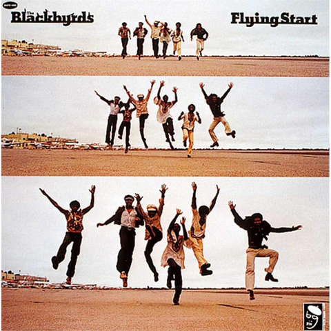 THE BLACKBYRDS - NIGHT GROOVES (LP - 2025)