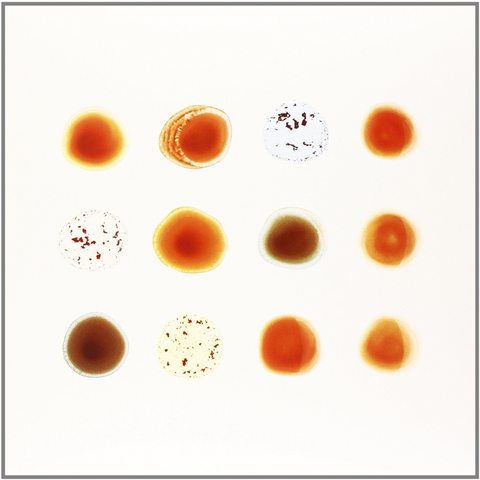 PETER GABRIEL - SCRATCH MY  BACK / I'LL SCRATCH YOURS (LP)