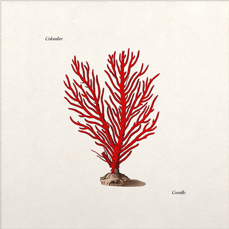 COLOMBRE - CORALLO (LP - ROSSO | AUTOGRAFATO - NUMERATO - 2021)