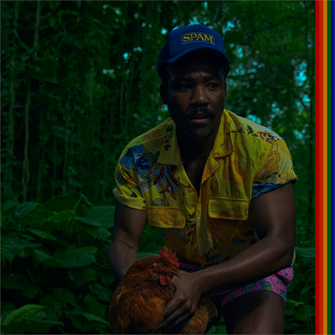 CHILDISH GAMBINO - BANDO STONE AND THE NEW WORLD (2LP - 2024)