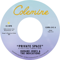 DURAND JONES & THE INDICATIONS - PRIVATE SPACE (7" - 2024)