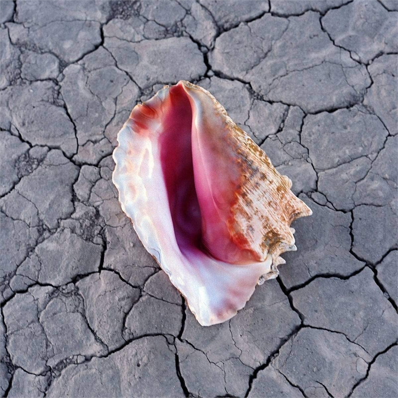 KILLERS - WONDERFUL WONDERFUL (DELUXE EDITION)