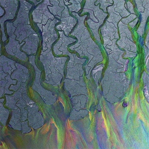 ALT-J - AN AWESOME WAVE (LP - BIANCO | REM22 - 2012)