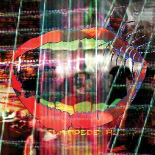ANIMAL COLLECTIVE - CENTIPEDE HZ (LP)