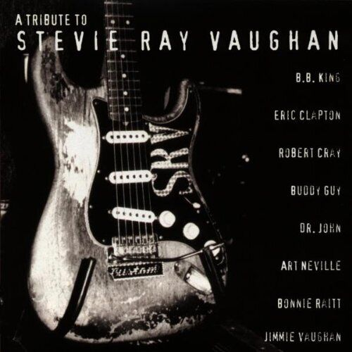 STEVIE RAY VAUGHAN - ARTISTI VARI - A TRIBUTE TO (1996)