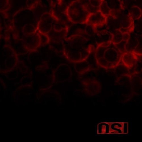 OSI - BLOOD (2009)
