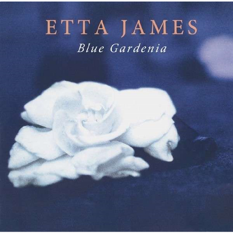 JAEMS ETTA - BLUE GARDENIA