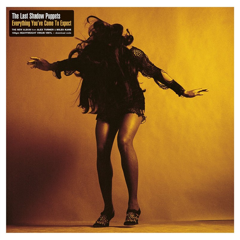 THE LAST SHADOW PUPPETS - EVERYTHING YOU'VE COME..(LP)