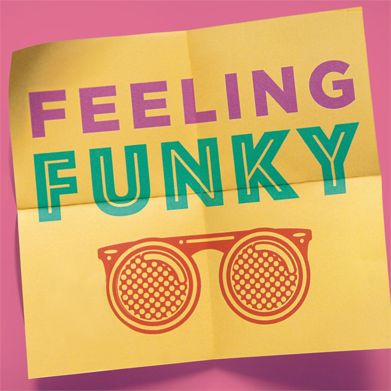ARTISTI VARI - FEELING FUNKY (2 CD)