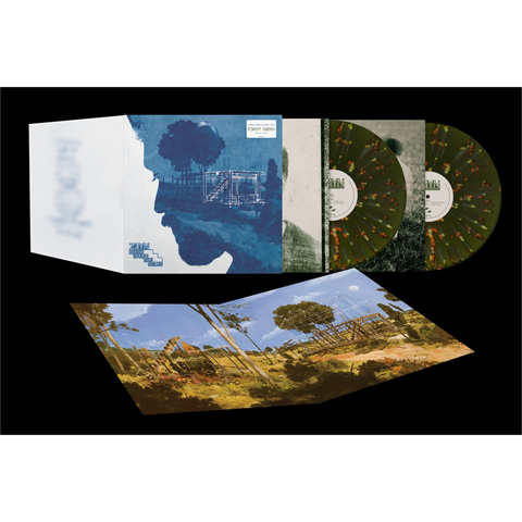 ZAYN - ROOM UNDER THE STAIRS (2LP - CLRD - 2024)