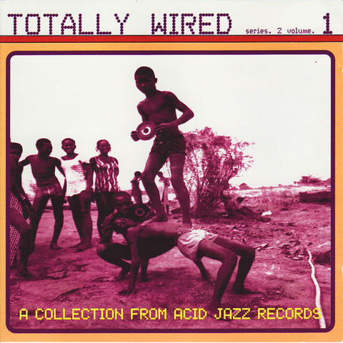 ARTISTI VARI - TOTALLY WIRED - VOL 2