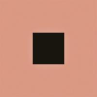 BON IVER - SABLE, FABLE (2LP - BLACK&SALMON | INDIE ONLY - 2025)