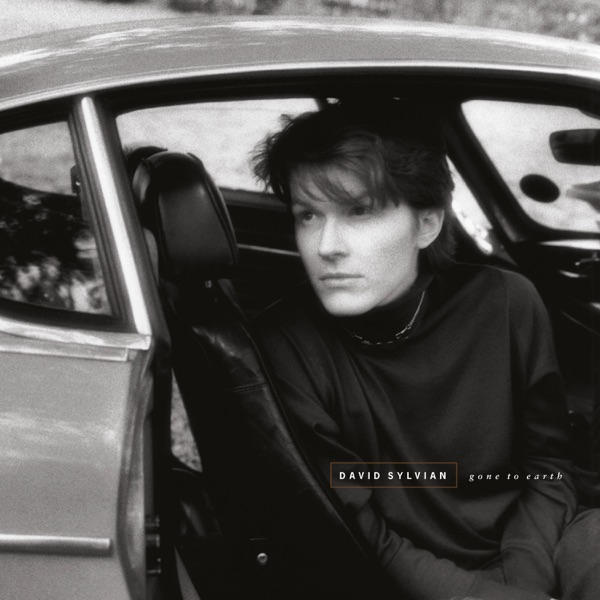 DAVID SYLVIAN - GONE TO EARTH (2LP - CLRD | REM03 | RE25 - 1986)