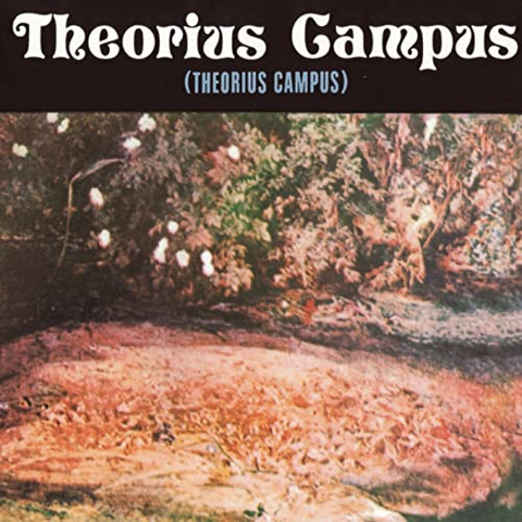 THEORIUS CAMPUS - VENDITTI / DE GREGORI - THEORIUS CAMPUS (LP - LTD NUM | BLUE TRASPARENTE | REM22 - 1972)