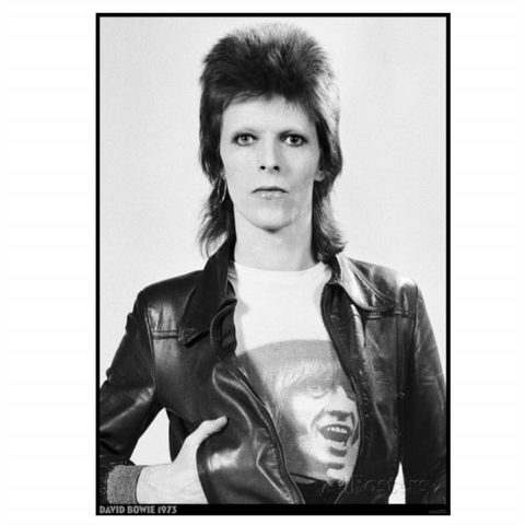 DAVID BOWIE - THE MAN WHO SOLD THE WORLD - 365 - POSTER