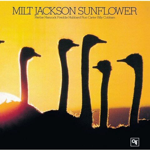JACKSON MILT - SUNFLOWER