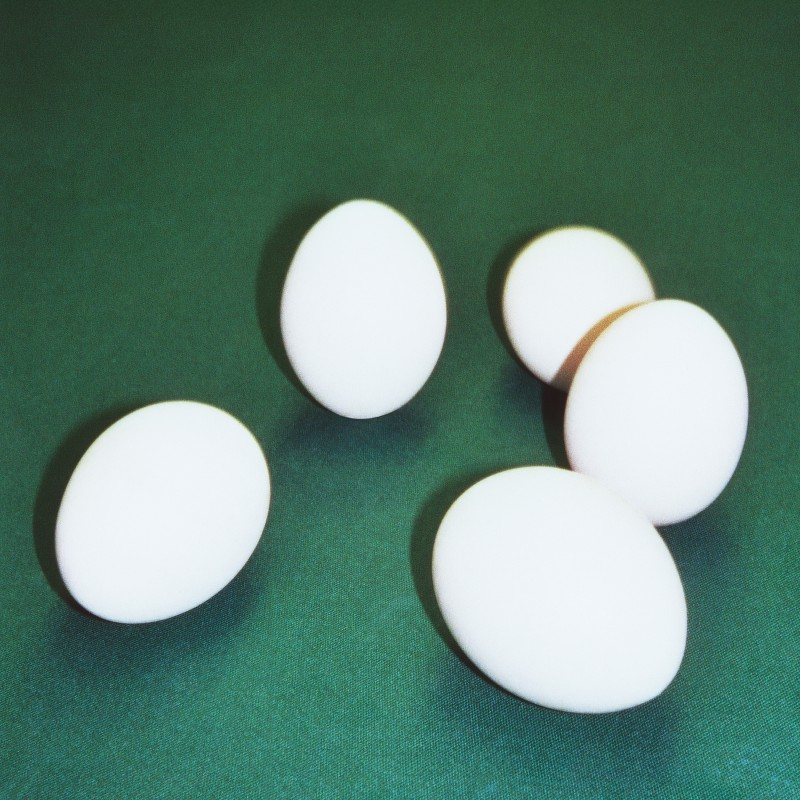 DUMBO GETS MAD - FIVE EGGS (LP - 2025)