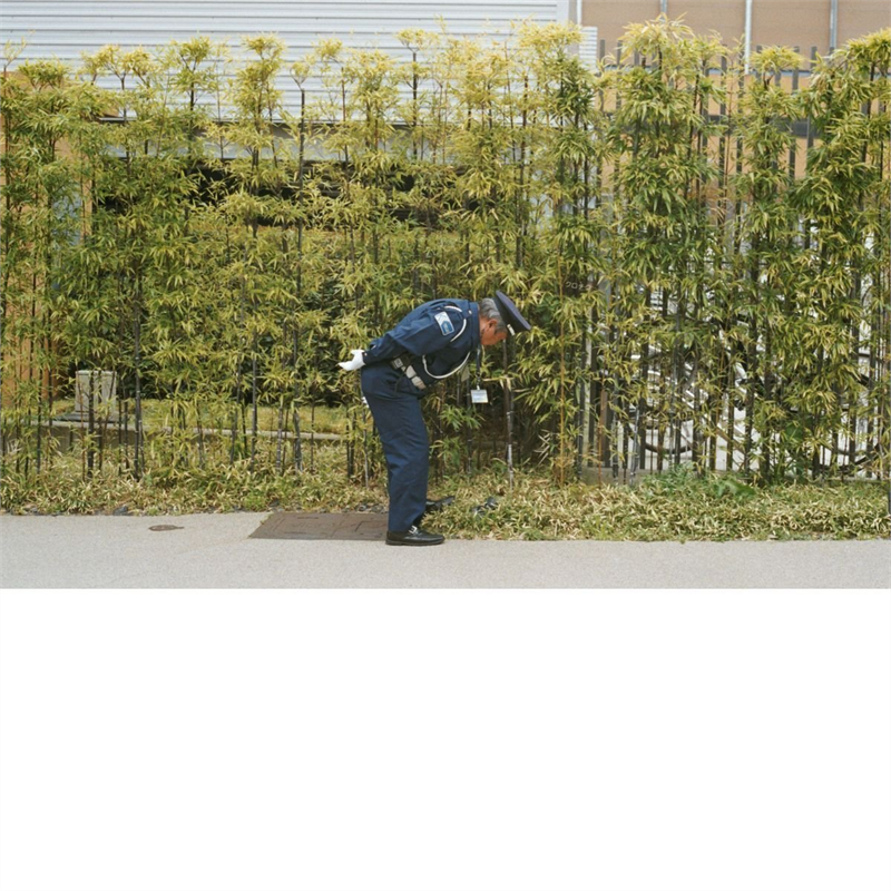 GOLD PANDA - GOOD LUCK AND DO YOUR BEST (2016)