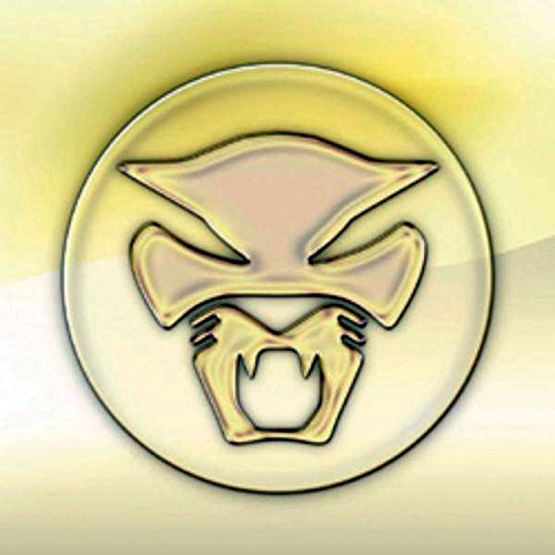 THUNDERCAT - GOLDEN AGE OF APOCALYPSE (2011)