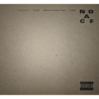THE 1975 (NINETEEN SEVENTY FIVE) - NOTES ON A CONDITIONAL FORM (2020)