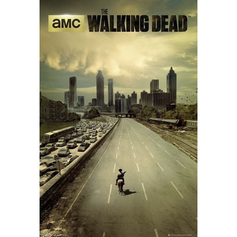 WALKING DEAD - CITY - 687 - POSTER
