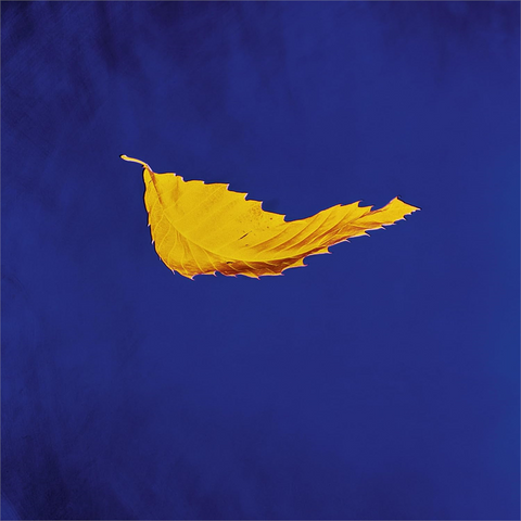 NEW ORDER - TRUE FAITH (12'' - REM23 - 1987)