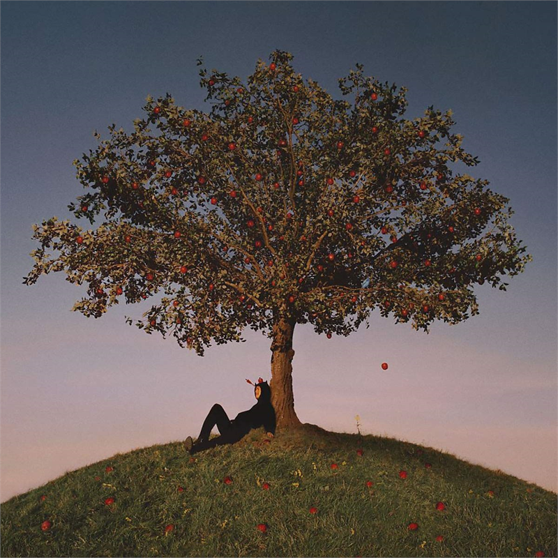 SLOWTHAI - TYRON (2021)