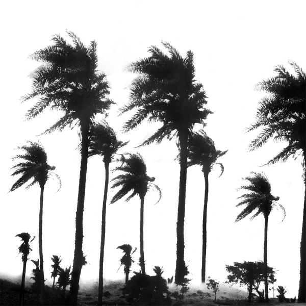 MAGAZZINI CRIMINALI - CROLLO NERVOSO (LP+CD - REM19 - 1980)