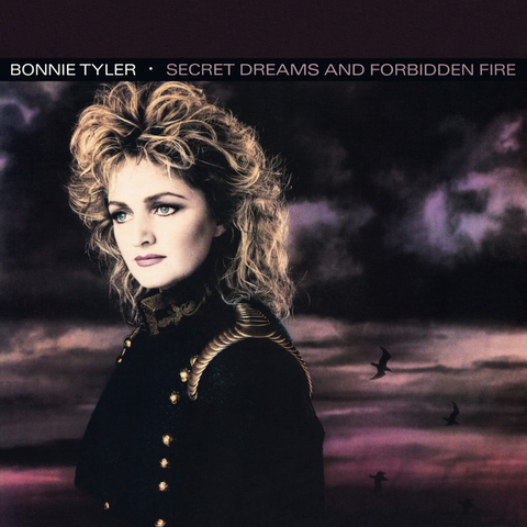BONNIE TYLER - SECRET DREAMS AND FORBIDDEN FIRE (LP, ALBUM)