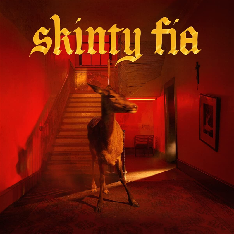 FONTAINES D.C. - SKINTY FIA (LP - 2022)