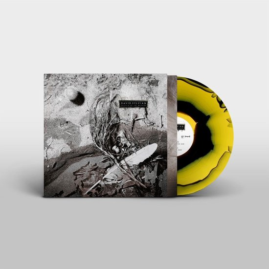 DAVID SYLVIAN - SECRETS OF THE BEEHIVE (2LP - CLRD | REM03 | RE25 - 1987)