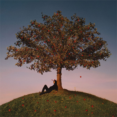 SLOWTHAI - TYRON (LP - 2021)