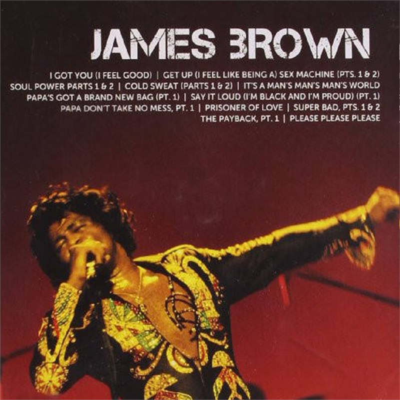JAMES BROWN - ICON (2015 - BEST)