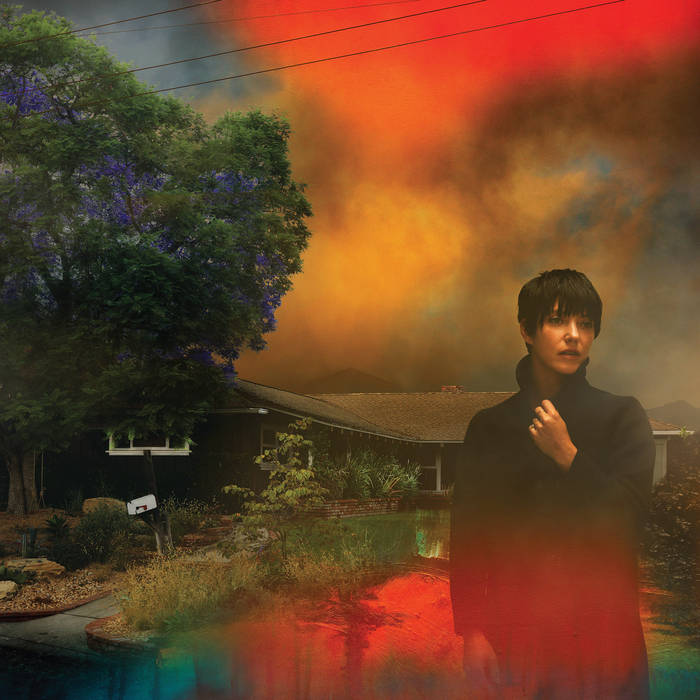 SHARON VAN ETTEN - WE'VE BEEN GOING ABOUT THIS ALL WRONG (LP - VIOLA - 2022)