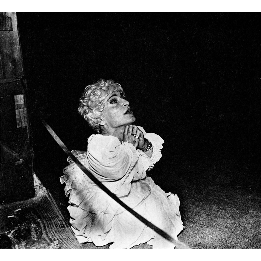 DEERHUNTER - HALCYON DIGEST (LP - 2010)