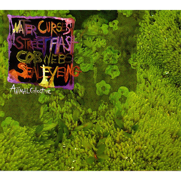 ANIMAL COLLECTIVE - WATER CURSES (2008 - EP | REM25)