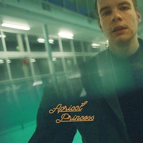 REX ORANGE COUNTY - APRICOT PRINCESS (LP - 2017)