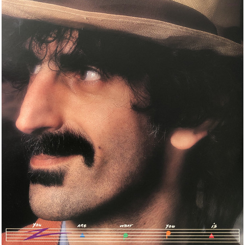 FRANK ZAPPA - YOU ARE WHAT YOU IS (2xLP, Album, RE)