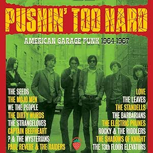 PUSHIN TOO HARD - ARTISTI VARI - PUSHIN TOO HARD: american garage punk (2024 - 3cd | compilation)
