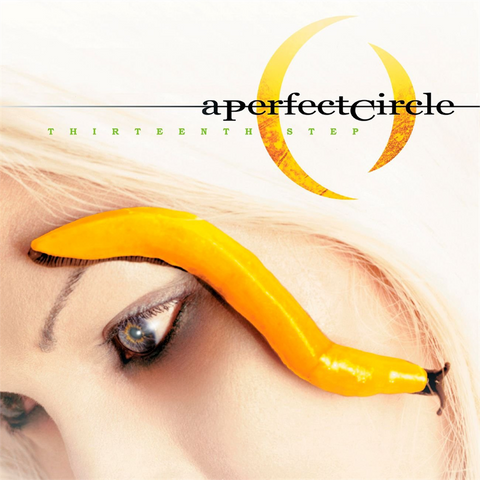 A PERFECT CIRCLE - THIRTEENTH STEP (2003)