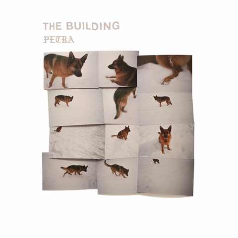 THE BUILDING - PETRA (2019)