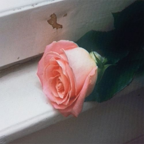 PLANET FUNK - BLOOOM (2026)