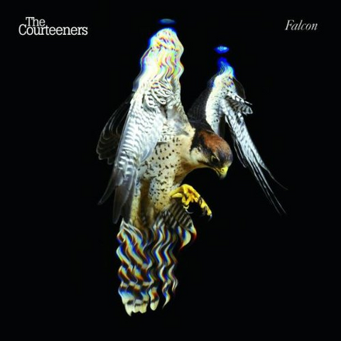 COURTEENERS - FALCON (2010)