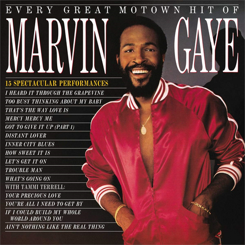 GAYE MARVIN - EVERY GREAT MOTOWN HIT (LP - 1983)