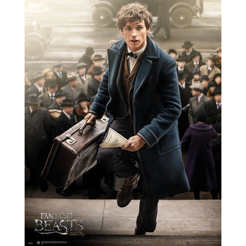 FANTASTIC BEASTS - NEWT SCAMANDER - 690 - POSTER MINI 40X50