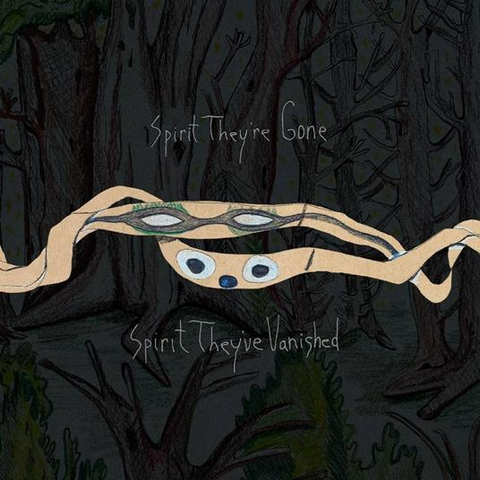 ANIMAL COLLECTIVE - SPIRIT THEY'RE GONE,  SPIRIT THEY'VE  VANISHED (2LP - REM23 - 2000)